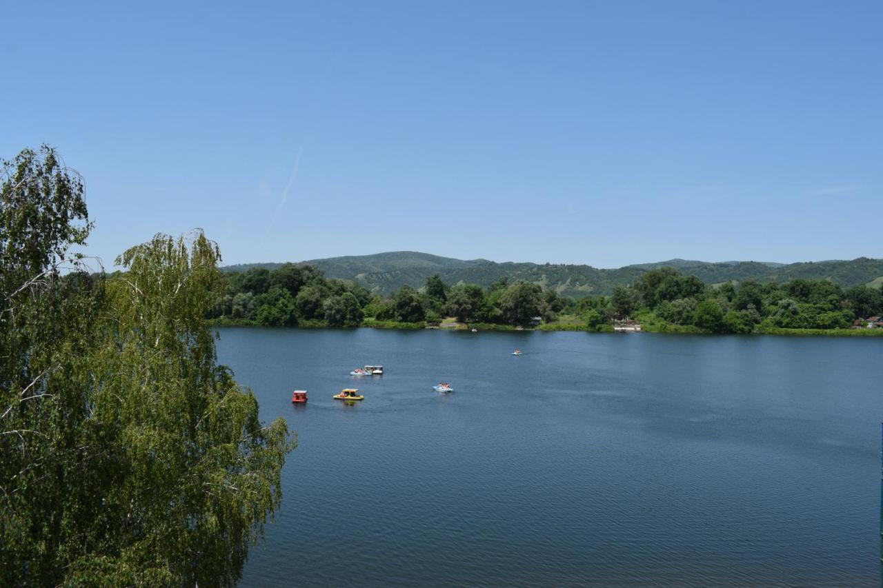 Spa Koncept-Apartmani Veliko Gradište Exteriör bild
